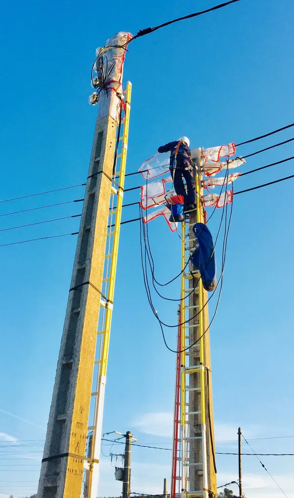 Monteur en travaux sous tension BT sur une échelle isolante, conducteurs recouverts de protecteurs