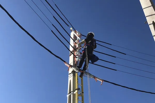 Monteur installant des protecteurs isolants sur les conducteurs basse tension d’un poteau béton